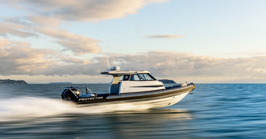 Protector Targa 310