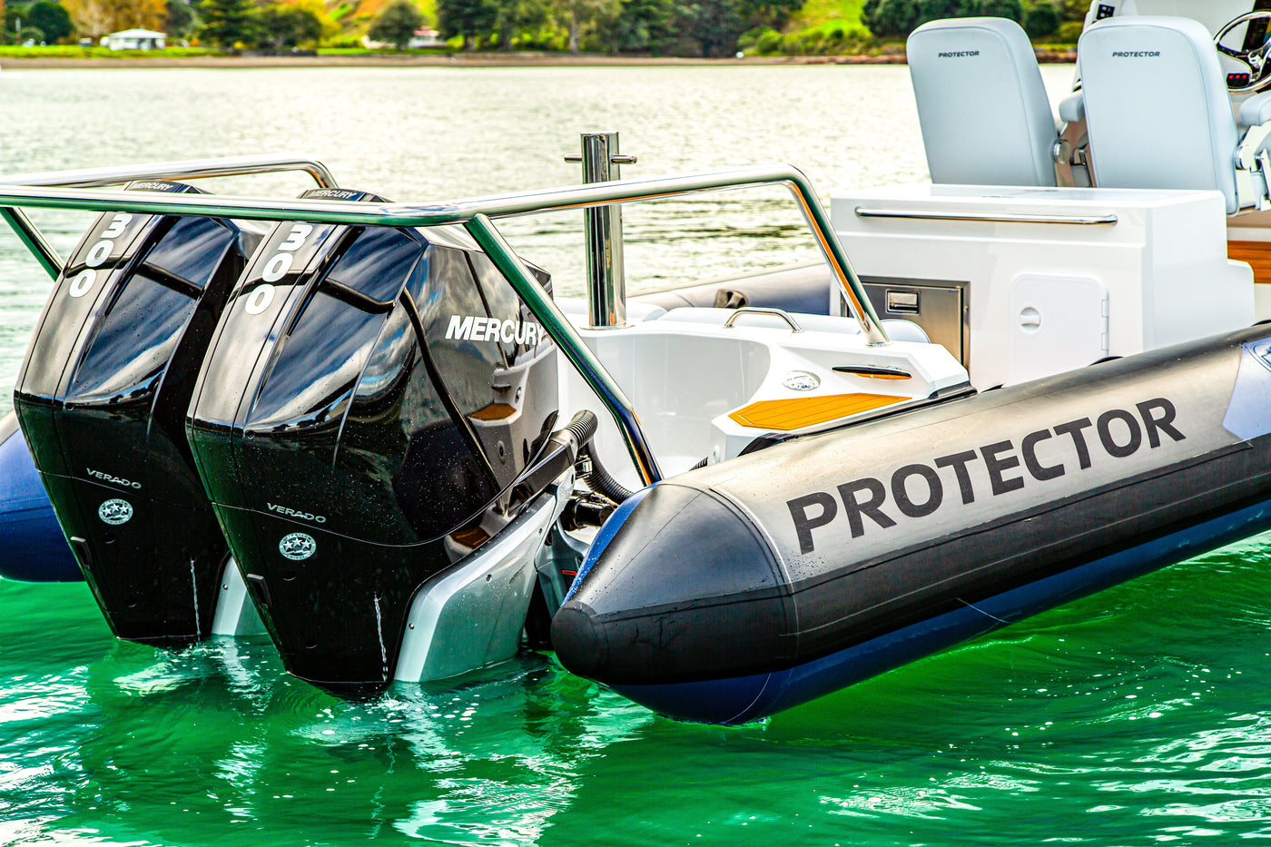 Protector Chase 310