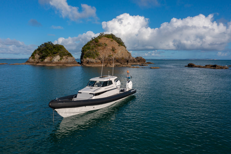 Protector Targa 410