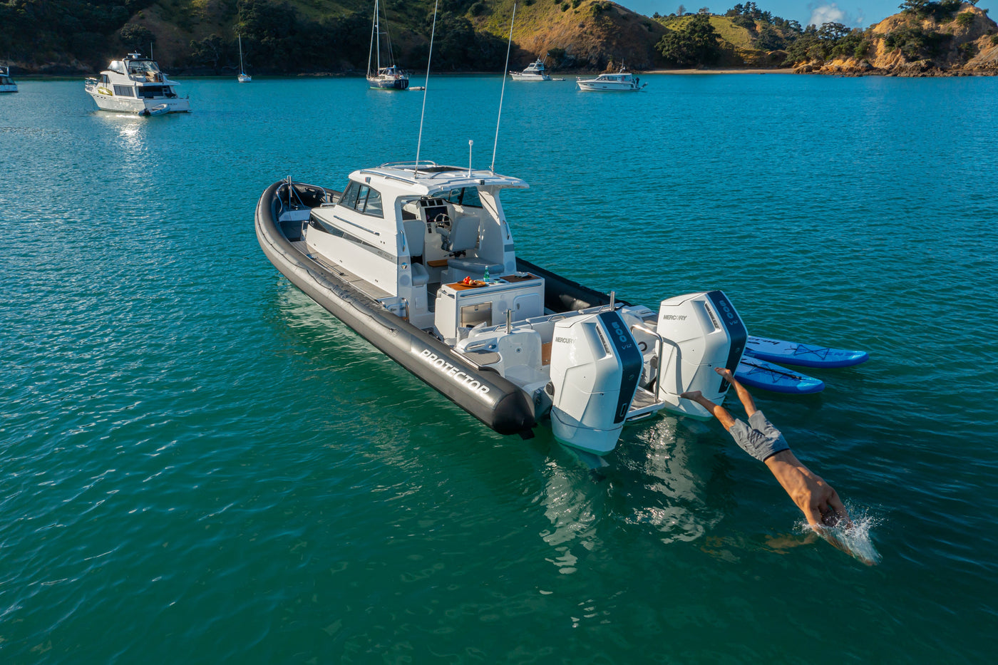 Protector Targa 410